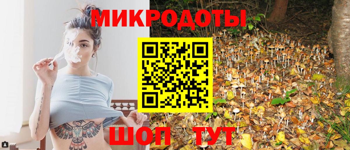 Псилоцибиновые грибы ЛСД Родники